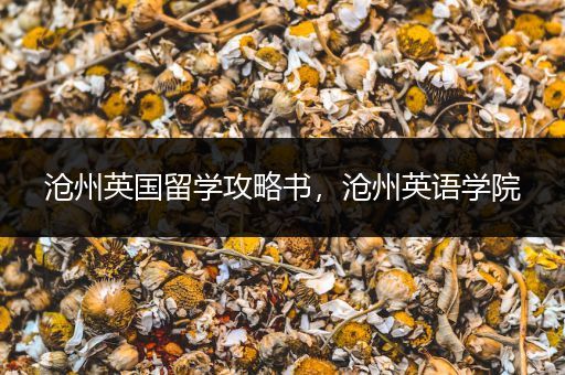 沧州英国留学攻略书，沧州英语学院
