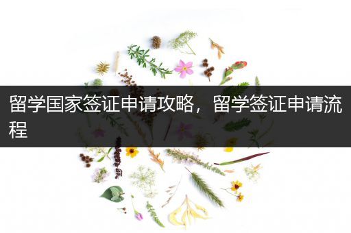 留学国家签证申请攻略，留学签证申请流程