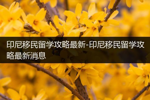 印尼移民留学攻略最新-印尼移民留学攻略最新消息