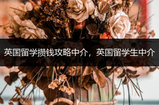 英国留学攒钱攻略中介，英国留学生中介