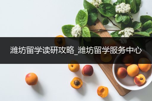 潍坊留学读研攻略_潍坊留学服务中心