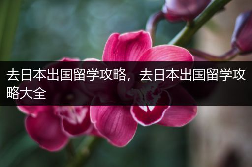 去日本出国留学攻略，去日本出国留学攻略大全