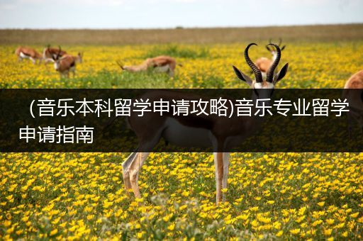 （音乐本科留学申请攻略)音乐专业留学申请指南