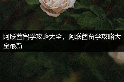 阿联酋留学攻略大全，阿联酋留学攻略大全最新