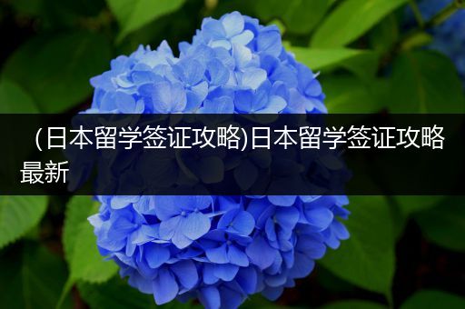 （日本留学签证攻略)日本留学签证攻略最新
