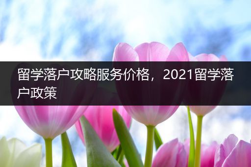 留学落户攻略服务价格，2021留学落户政策