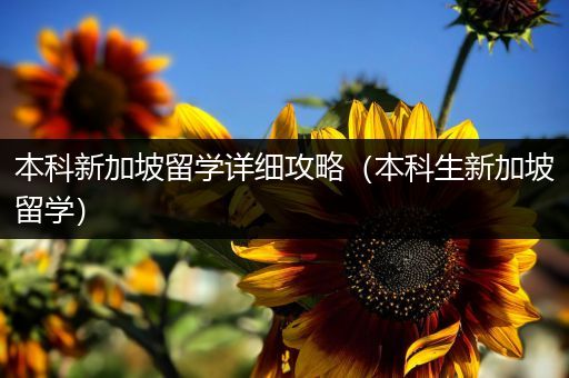 本科新加坡留学详细攻略（本科生新加坡留学）