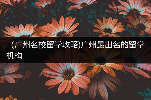 （广州名校留学攻略)广州最出名的留学机构