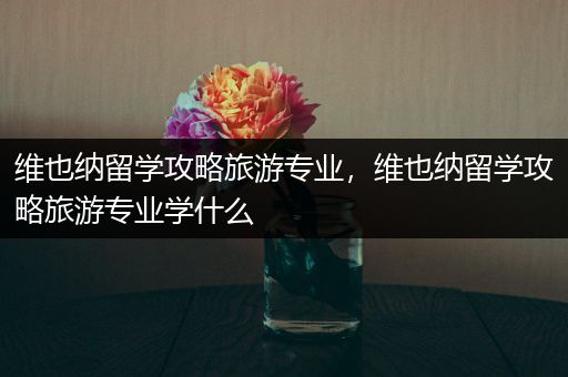 维也纳留学攻略旅游专业，维也纳留学攻略旅游专业学什么