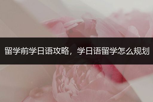 留学前学日语攻略，学日语留学怎么规划