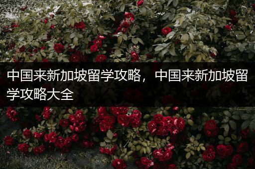 中国来新加坡留学攻略，中国来新加坡留学攻略大全