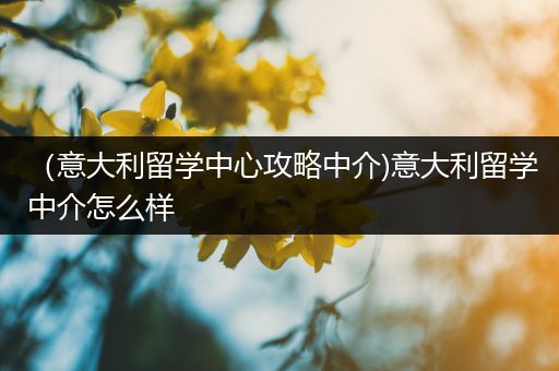 （意大利留学中心攻略中介)意大利留学中介怎么样