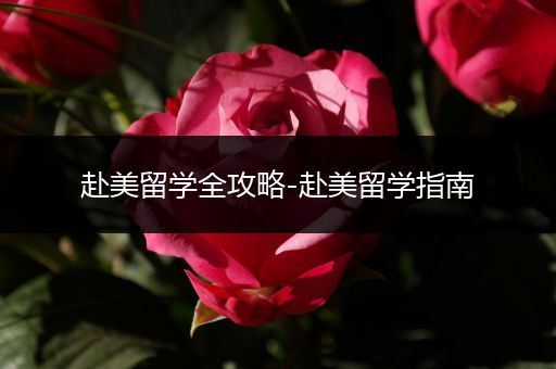 赴美留学全攻略-赴美留学指南