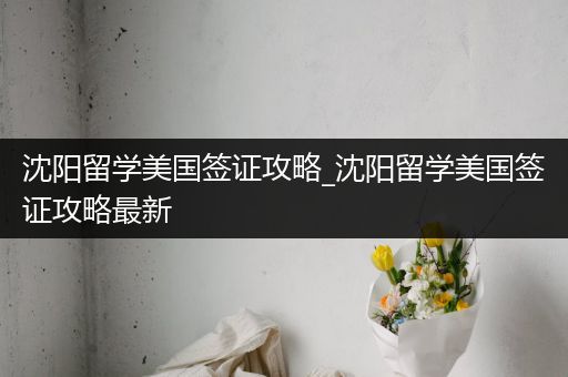 沈阳留学美国签证攻略_沈阳留学美国签证攻略最新