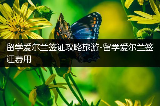 留学爱尔兰签证攻略旅游-留学爱尔兰签证费用