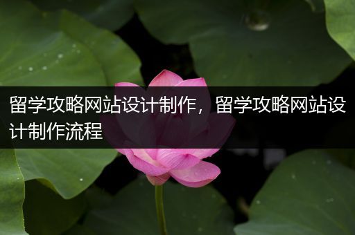 留学攻略网站设计制作，留学攻略网站设计制作流程