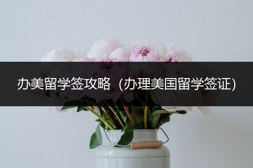 办美留学签攻略（办理美国留学签证）