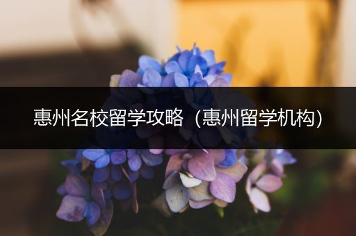 惠州名校留学攻略（惠州留学机构）