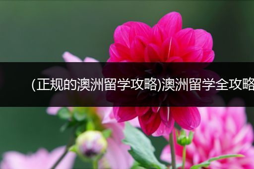 （正规的澳洲留学攻略)澳洲留学全攻略