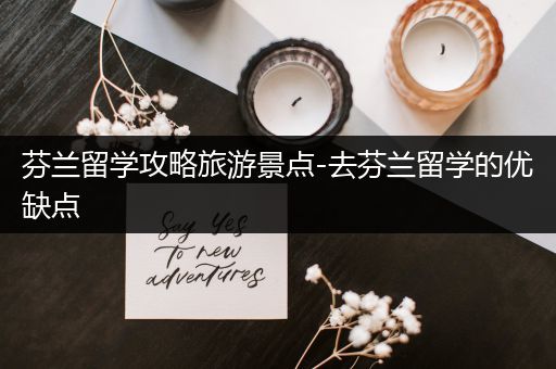 芬兰留学攻略旅游景点-去芬兰留学的优缺点