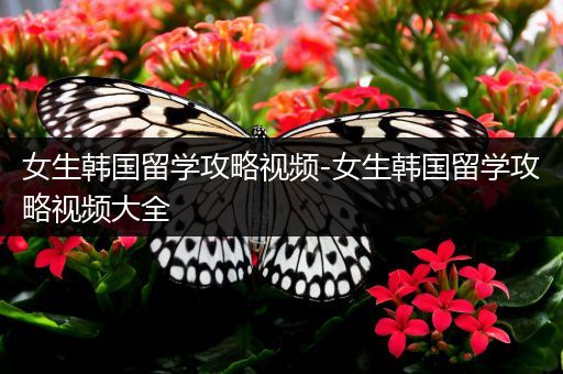 女生韩国留学攻略视频-女生韩国留学攻略视频大全