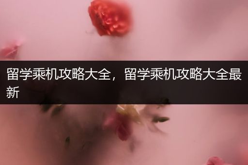 留学乘机攻略大全，留学乘机攻略大全最新