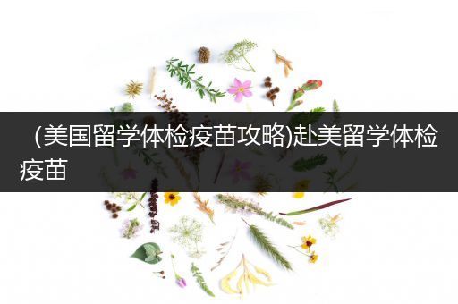 （美国留学体检疫苗攻略)赴美留学体检疫苗