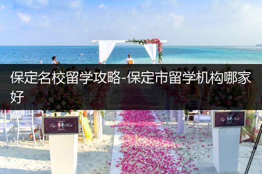 保定名校留学攻略-保定市留学机构哪家好