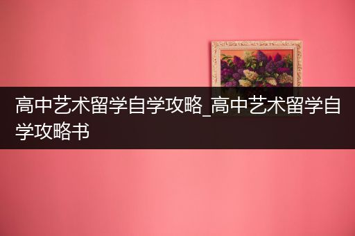 高中艺术留学自学攻略_高中艺术留学自学攻略书