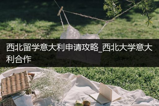 西北留学意大利申请攻略_西北大学意大利合作