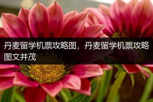 丹麦留学机票攻略图，丹麦留学机票攻略图文并茂