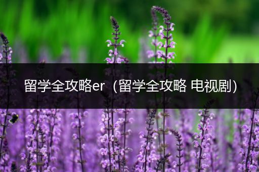 留学全攻略er（留学全攻略 电视剧）