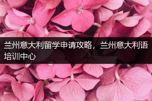 兰州意大利留学申请攻略，兰州意大利语培训中心