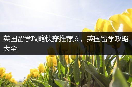 英国留学攻略快穿推荐文，英国留学攻略大全