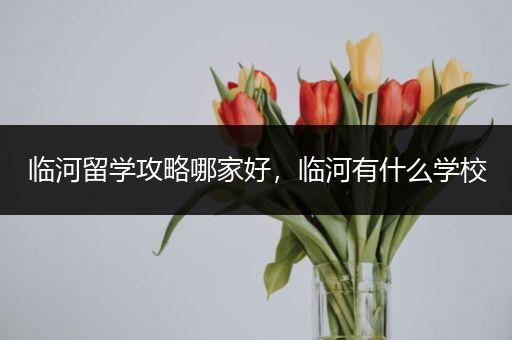 临河留学攻略哪家好，临河有什么学校