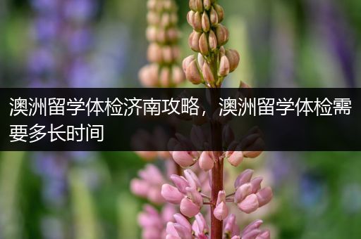 澳洲留学体检济南攻略，澳洲留学体检需要多长时间