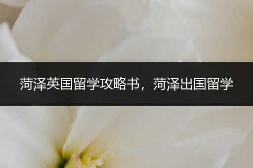 菏泽英国留学攻略书，菏泽出国留学