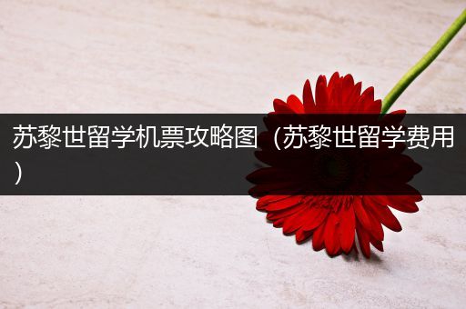 苏黎世留学机票攻略图（苏黎世留学费用）