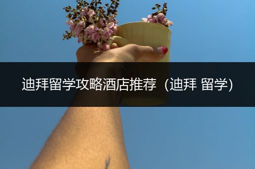 迪拜留学攻略酒店推荐（迪拜 留学）