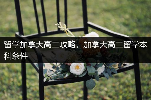 留学加拿大高二攻略，加拿大高二留学本科条件