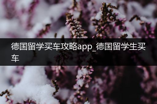 德国留学买车攻略app_德国留学生买车
