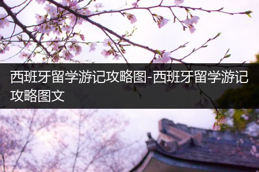 西班牙留学游记攻略图-西班牙留学游记攻略图文