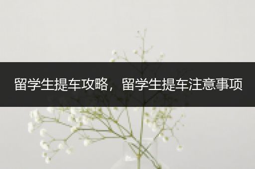 留学生提车攻略，留学生提车注意事项