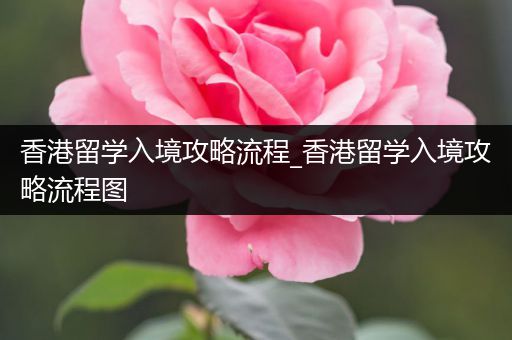 香港留学入境攻略流程_香港留学入境攻略流程图
