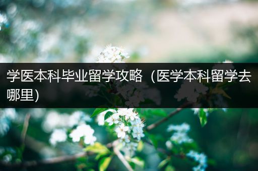 学医本科毕业留学攻略（医学本科留学去哪里）