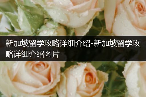 新加坡留学攻略详细介绍-新加坡留学攻略详细介绍图片
