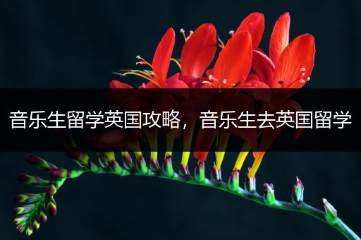 音乐生留学英国攻略，音乐生去英国留学