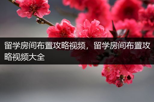 留学房间布置攻略视频，留学房间布置攻略视频大全