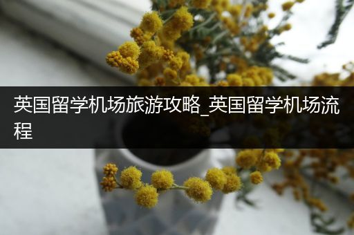 英国留学机场旅游攻略_英国留学机场流程