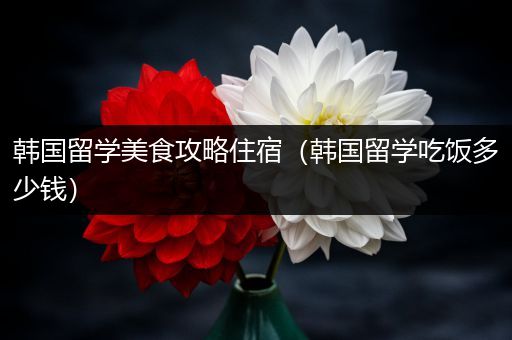 韩国留学美食攻略住宿（韩国留学吃饭多少钱）